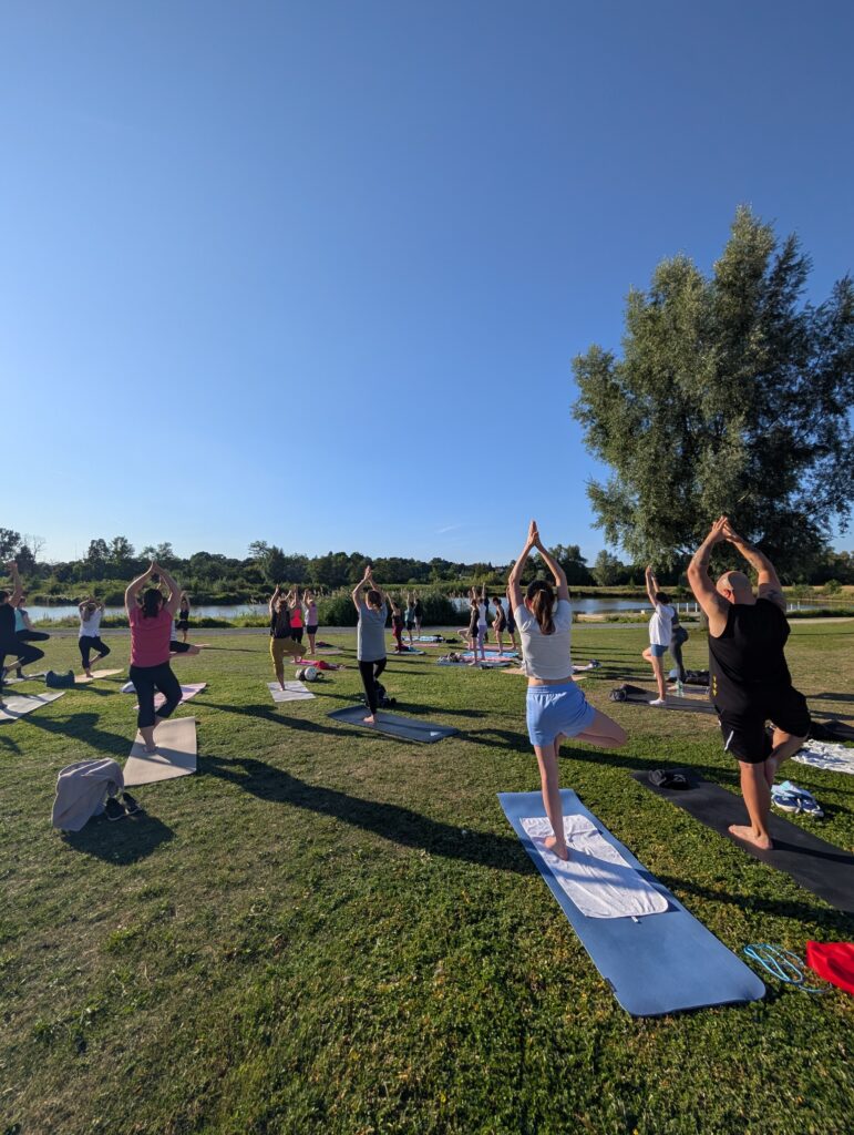 Yoga-Wilhelminenaue-Bayreuth Baum